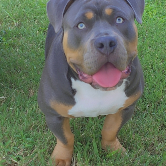 Meet your Posher, Laura - Picture 6 of 16